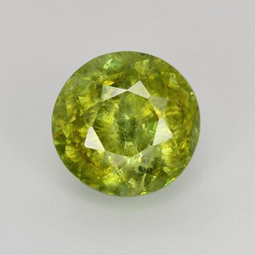 Warm Forest Green Sphene Gem - 1.3ct Round Facet (ID: 526428)