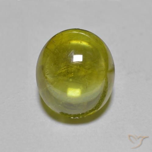 Warm Forest Green Sphene Gem - 2.4ct Oval Cabochon (ID: 590258)