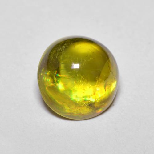 Medium Yellow 榍石 Gem - 1.9ct 圆形凸面型 (ID: 590913)