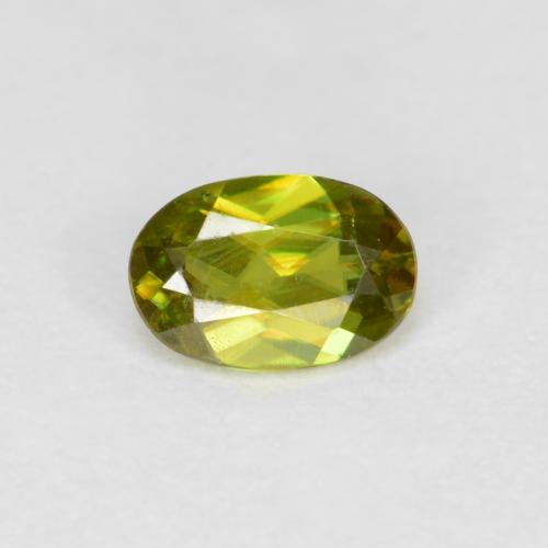 Warm Earthy Green 榍石 Gem - 0.3ct 椭圆形切面 (ID: 591555)