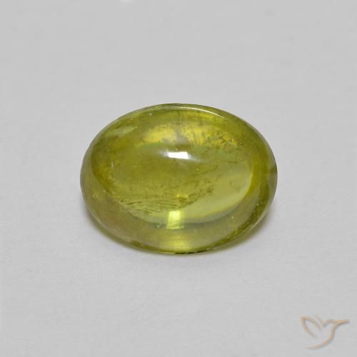 Sphène Vert Ovale 7,6 x 5,7mm du Sri Lanka, poids de 1,4 ct, pierre gemme naturelle Non traité de pureté Transparent, 1 pièce de sphène oval cabochon, couleur : Vert chaud et terreux, dureté de Mohs de 5 à 5.5, Photo A