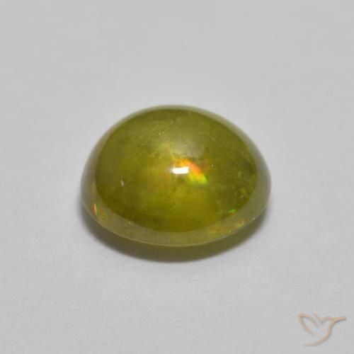 Sphene Gemstone in 6.8 x 6.3 mm Size for Sale, Sphene Stone in Warm Forest Green Color
