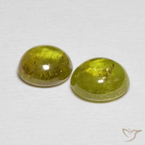 Sphene Gemstones in 7.3 x 6.6 mm Size for Sale, Sphene Stones in Warm Forest Green Color