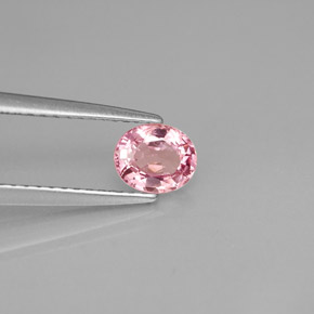 0.63 ct Pink Spinel Stone, Natural Spinel in Oval Facet Shape for Sale