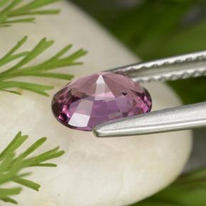Spinel Gemstone in 7.4 x 5.6 mm Size for Sale, Spinel Stone in Pinkish Purple Color