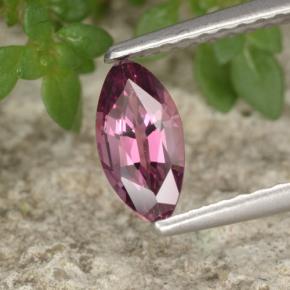 0.62 ct Violet Spinel Stone, Natural Spinel in Marquise Facet Shape for Sale