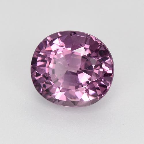 1.46 ct Purple Spinel Stone, Natural Spinel in Oval Facet Shape for Sale