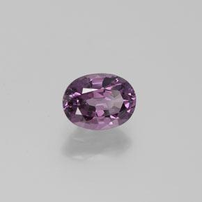 1.60 ct Purple Spinel Stone, Natural Spinel in Oval Facet Shape for Sale