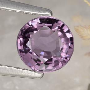 Púrpura medio Espinela Gema - 1.3ct Forma ovalada (ID: 469791)