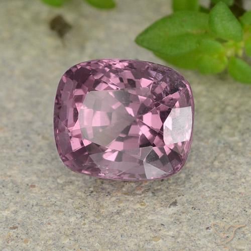 1.52 ct Purple Spinel Stone, Natural Spinel in Cushion-Cut Shape for Sale