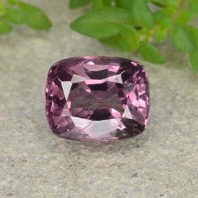 Plum Purple Spinell Edelstein - 1.2ct Kissenschliff (ID: 483568)