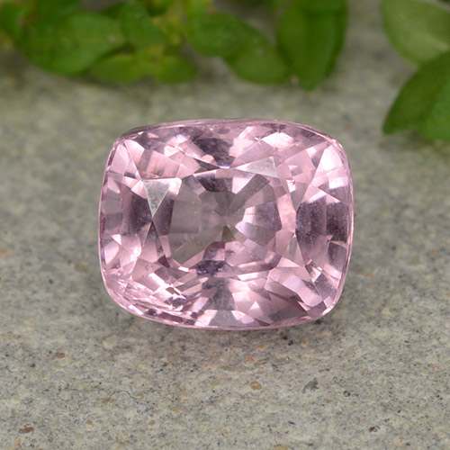 1.6ct Cushion-Cut Pink Spinel Gem for sale 1.6ct Cushion-Cut Pink Spinel Gem (ID: 483673)