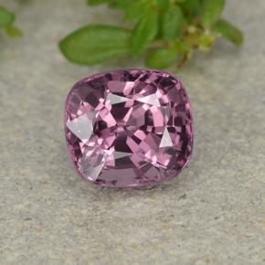 1.3ct Cushion-Cut Purple Spinel Gem for sale 1.3ct Cushion-Cut Purple Spinel Gem (ID: 483744)