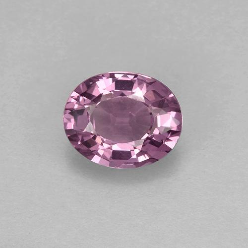 Púrpura medio Espinela Gema - 1.6ct Forma ovalada (ID: 504680)