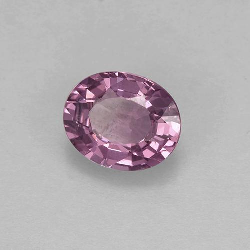 1.63 ct Purple Spinel Stone, Natural Spinel in Oval Facet Shape for Sale