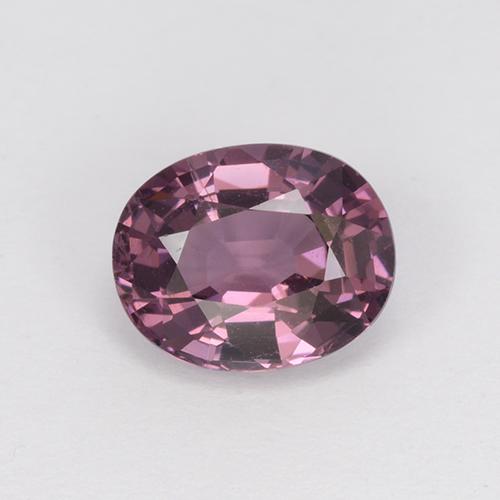 Púrpura oscuro medio Espinela Gema - 1.2ct Forma ovalada (ID: 510499)