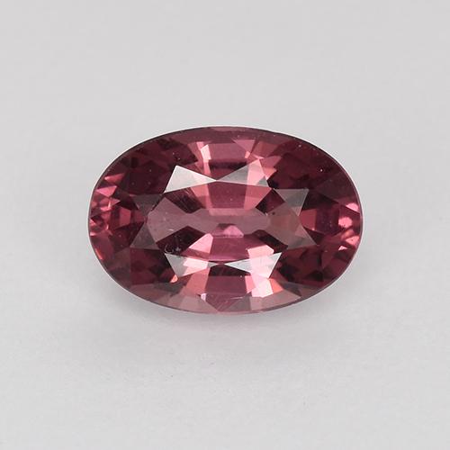 Deep Magenta Spinell Edelstein - 0.6ct Oval facettiert (ID: 526341)