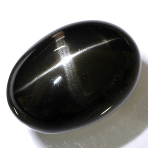 48.47 ct Black Star Diopside Stone, Natural Star Diopside in Oval Cabochon Shape for Sale
