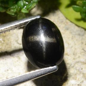 Negro Diópsido Estrella Gema - 2.7ct Cabujón Óvalo (ID: 478997)