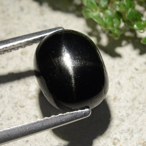Black Star Diopside Gem - 3.5ct Oval Cabochon (ID: 479093)