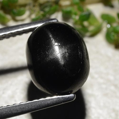 Schwarz Sterndiopsid Edelstein - 3.9ct Oval Cabochon (ID: 479490)