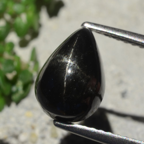 Negro Diópsido Estrella Gema - 3.1ct Cabujón Pera (ID: 480449)