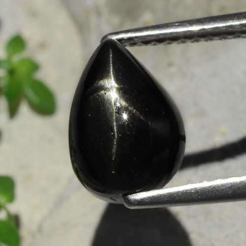 2.7ct Pear Cabochon Black Star Diopside Gem for sale 2.7ct Pear Cabochon Black Star Diopside Gem (ID: 480487)