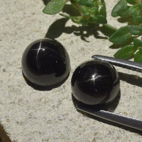 Black Star Diopside Gem - 3.8ct Round Cabochon (ID: 480551)