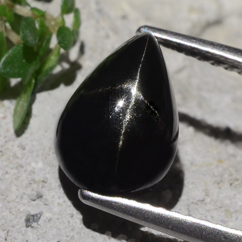 Black Star Diopside Gem - 3.3ct Pear Cabochon (ID: 480573)