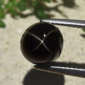 Black Star Diopside Gem - 3.4ct Round Cabochon (ID: 480589)