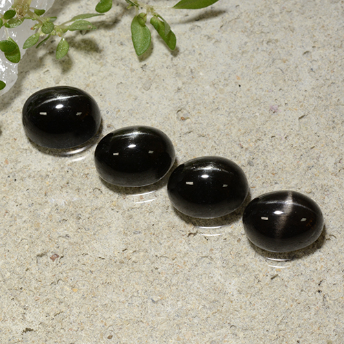 Black Star Diopside Gem - 2.2ct Oval Cabochon (ID: 499273)