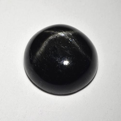 Black Star Diopside Gem - 3.2ct Round Cabochon (ID: 519758)