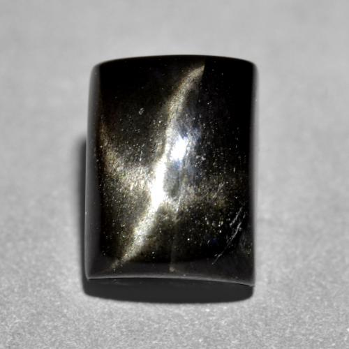 Negro Diópsido Estrella Gema - 3.1ct Corte Baguette y Cabujón (ID: 551921)