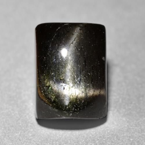 Negro Diópsido Estrella Gema - 3.1ct Corte Baguette y Cabujón (ID: 551925)