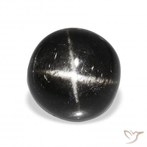 11.74ct Black Star Diopside, Round, Opaque