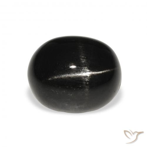6.19ct Natural Black Star Diopside, Oval, Opaque