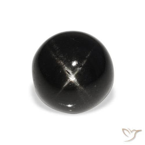 8.51ct Natural Black Star Diopside, Round, Opaque