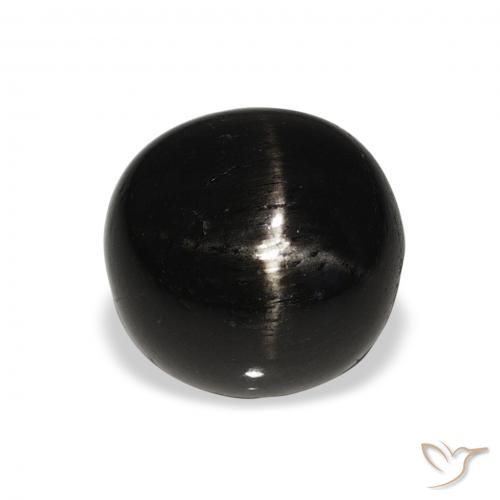 6.00ct Natural Black Star Diopside, Round, Opaque