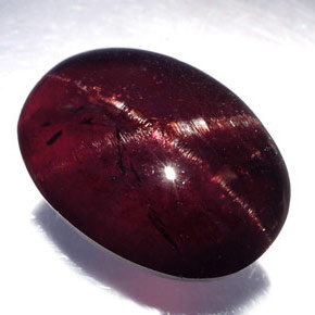 19.80 ct Black Star Garnet Stone, Natural Star Garnet in Oval Cabochon Shape for Sale