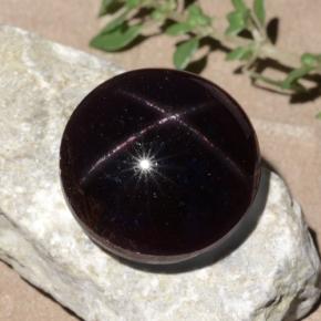 Star Garnet Gemstone in 15.1 mm Size for Sale, Star Garnet Stone in Black Red Color