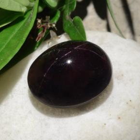 Star Garnet Gemstone in 17.5 x 14.1 mm Size for Sale, Star Garnet Stone in Reddish Black Color