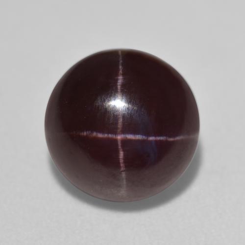 Dark Reddish Black Star Garnet Gem - 5.2ct Round Cabochon (ID: 573861)