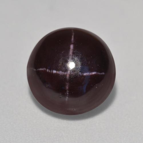 Blackish Red Star Garnet Gem - 5.1ct Round Cabochon (ID: 573862)