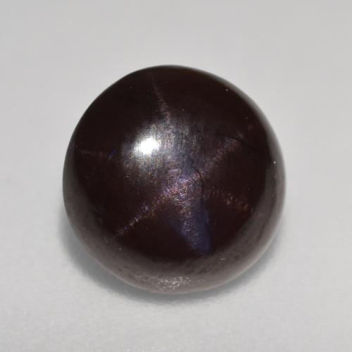 Blackish Red Star Garnet Gem - 3.3ct Round Cabochon (ID: 573863)