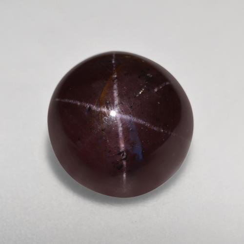 Schwärzlich Rot Sterngranat Edelstein - 5.5ct Rund Cabochon (ID: 573864)