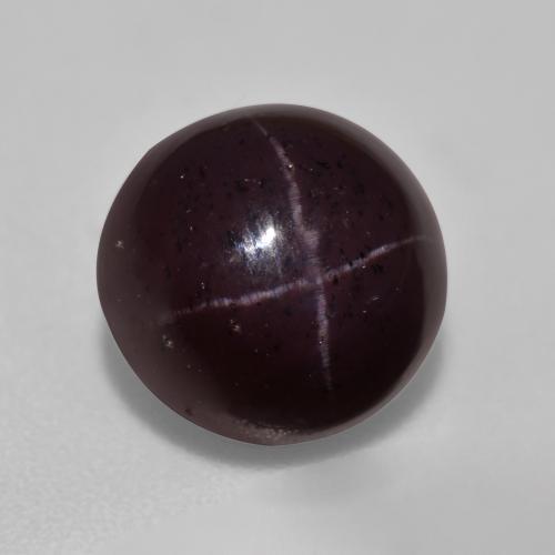 Noir rougeâtre foncé Grenat Étoilé gemme - 7ct Cabochon rond (ID: 573867)