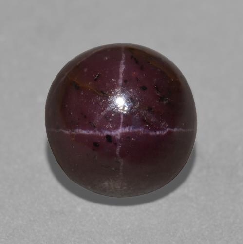 Mahogany Red Звездчатый Гранат Камень - 6.3ct Круглый Кабошон (ID: 574016)