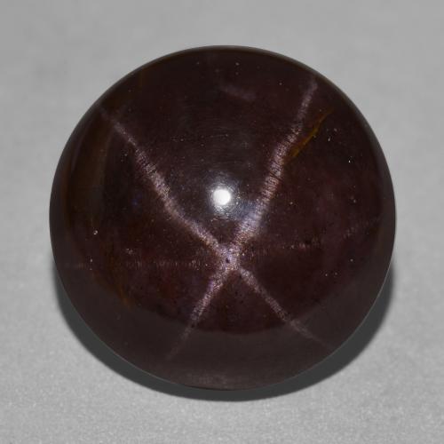 Rouge foncé Grenat Étoilé gemme - 23.3ct Cabochon rond (ID: 574021)