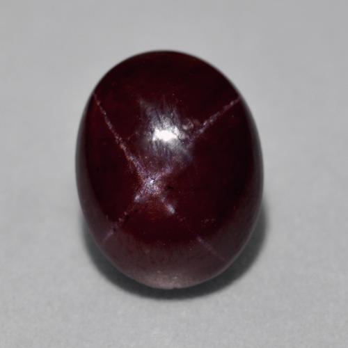 Mahogany Red Star Garnet Gem - 9.2ct Oval Cabochon (ID: 574638)