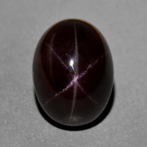 Blackish Red Звездчатый Гранат Камень - 22.8ct Овал Кабошон (ID: 574670)